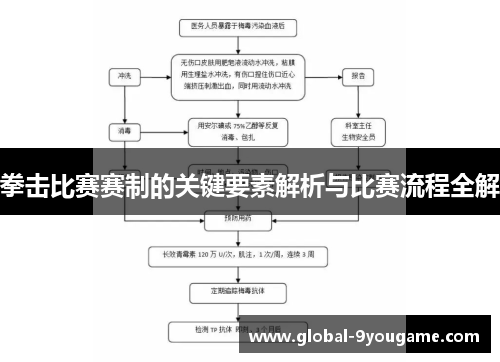 拳击比赛赛制的关键要素解析与比赛流程全解
